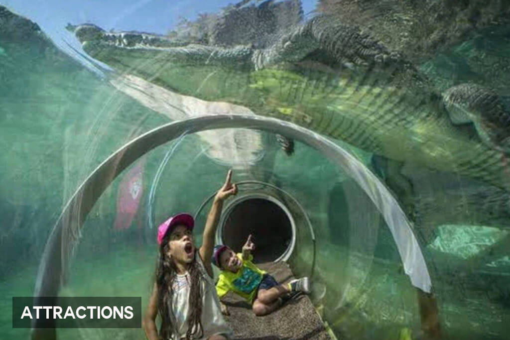 A family admires an alligator at Zoo Miami