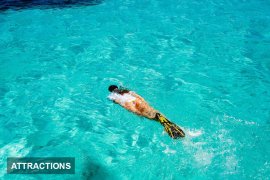 Underwater Wonders: Bikini Snorkeling Adventure Key West