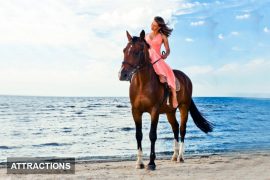 Miami Equestrian Escape round the beach