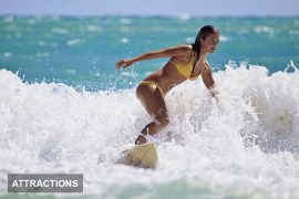 Surf Lesson in Miami Beach