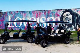graffiti tour with golf car in the wynwood art district miami